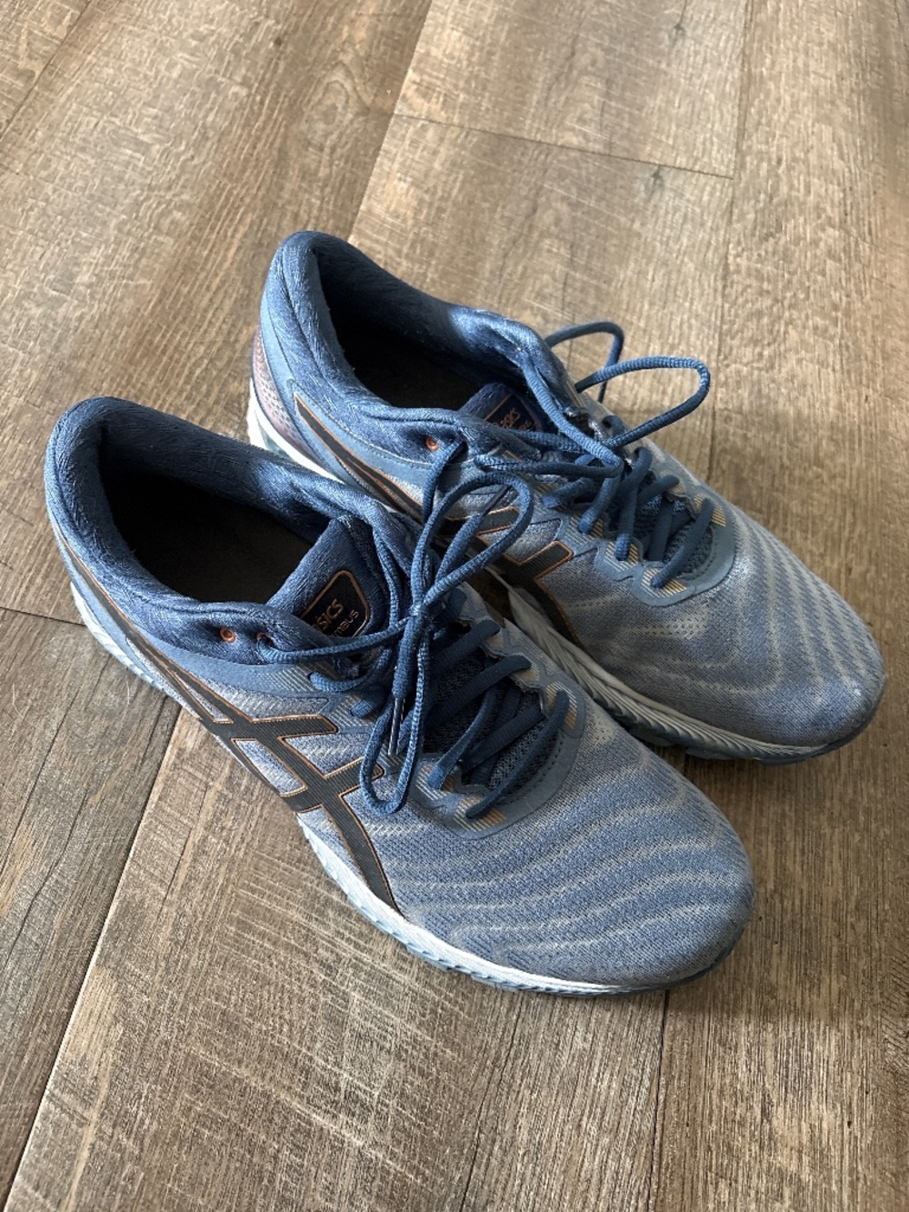 ASICS gel nimbus men’s running shoes
